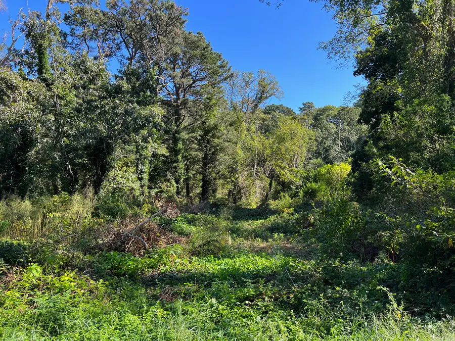 245 Paine Hollow Road, Wellfleet, MA 02667 - Image #2