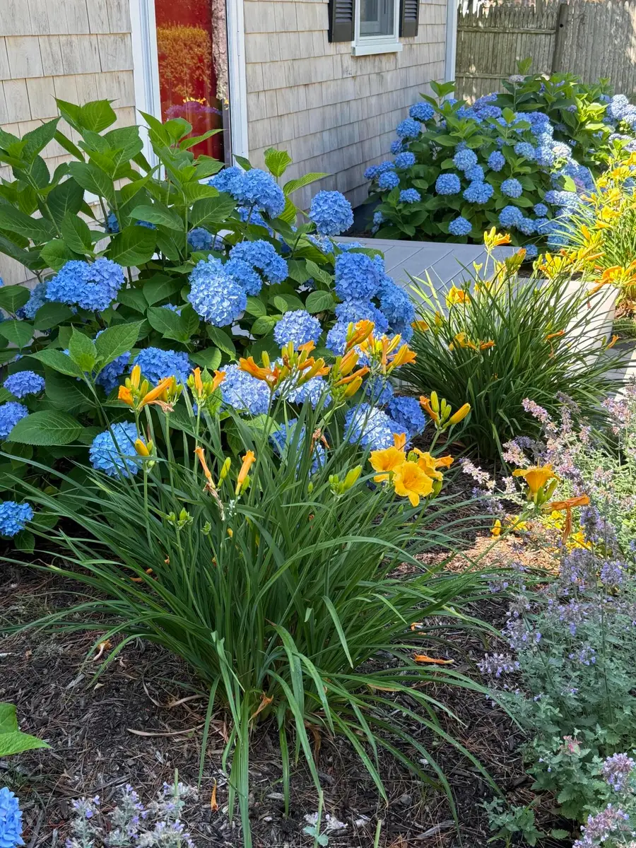 9 Victory Lane, South Yarmouth, MA 02664 - #3