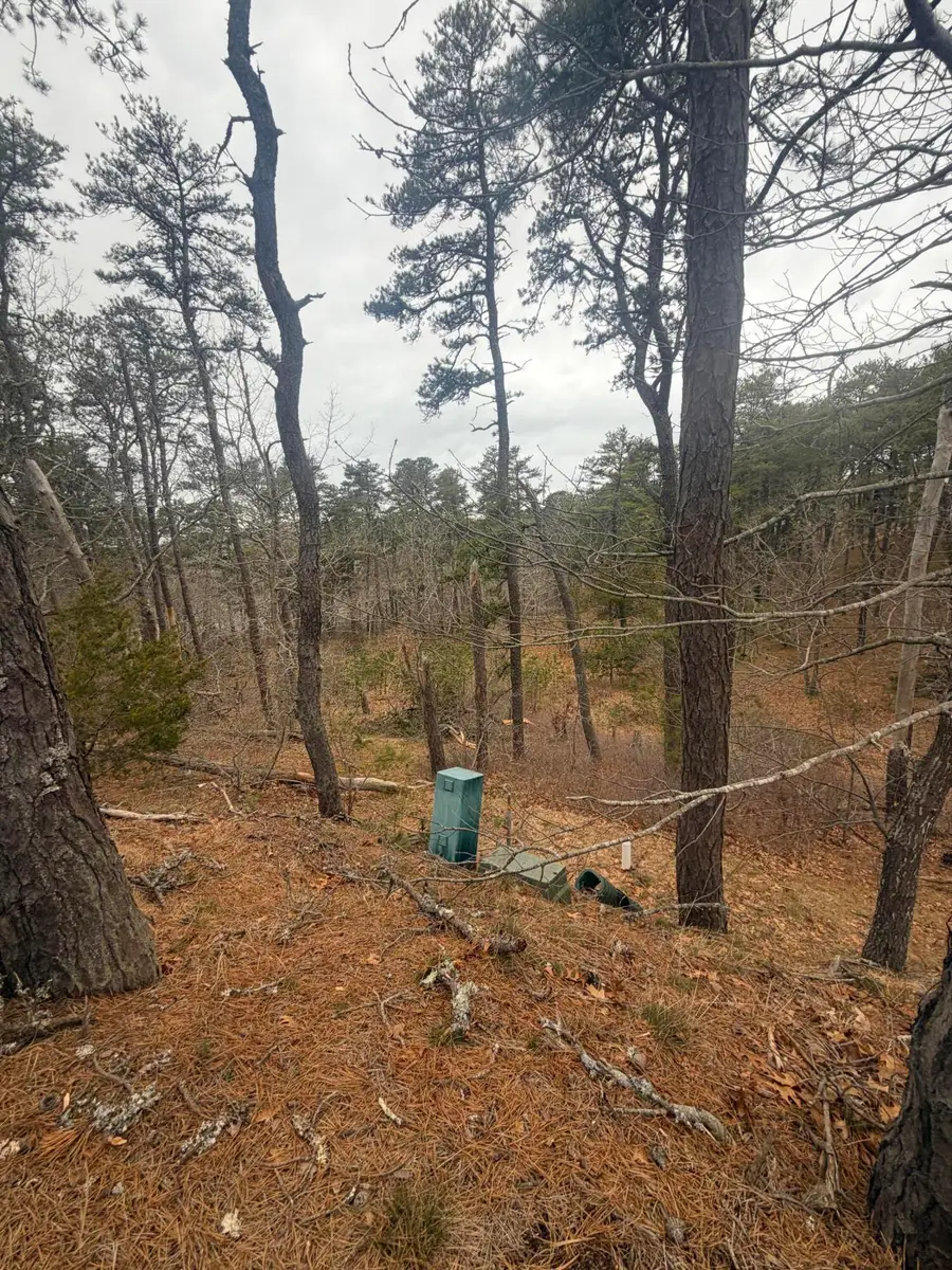 60 Perch Pond Way, Wellfleet, MA 02667 - #3