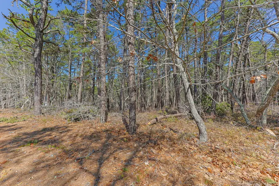 175 Delphi Path, Wellfleet, MA 02667 - #2