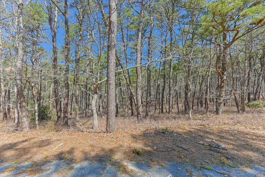 175 Delphi Path, Wellfleet, MA 02667 - #3