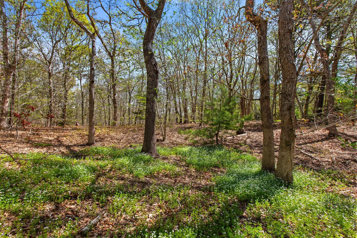 0 Landing Drive, Brewster, MA 02631 - #1