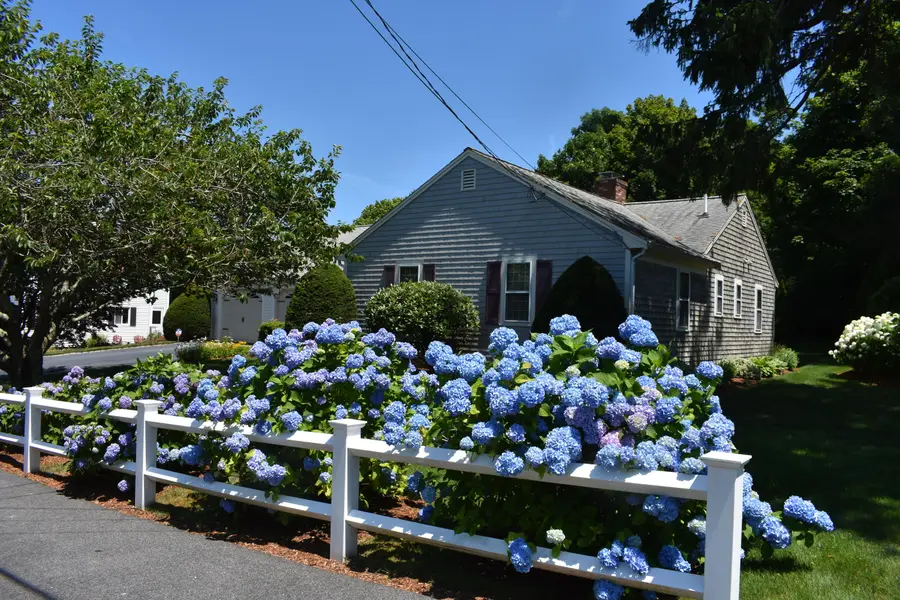 34 Fisk Street, West Dennis, MA 02670 - #2