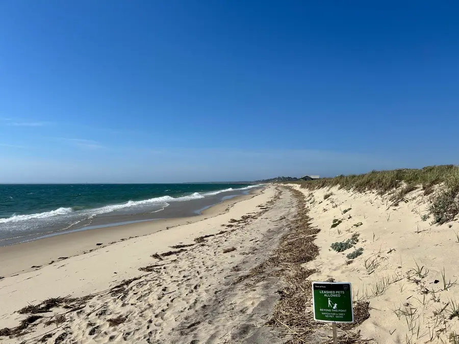 10 Benson Road, Truro, MA 02666 - #2