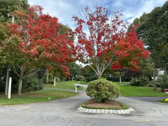 50 Acadia Drive, Marstons Mills, MA 02648 - #2