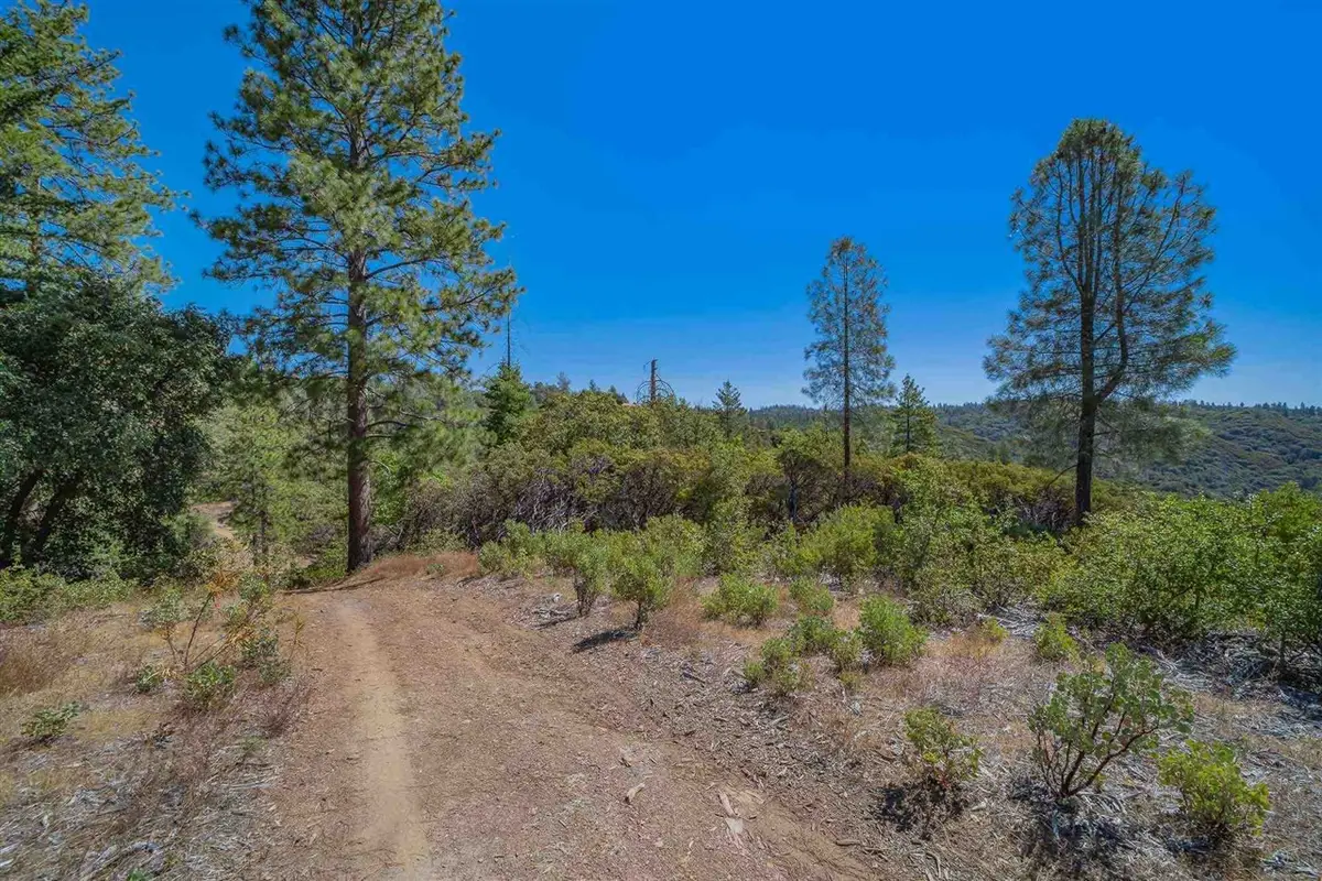 0 Ponderosa Way., Big Oak Flat, CA 95305 - #1