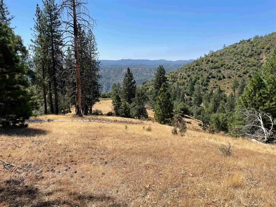 00000 Forrest Rd 1N19, Tuolumne, CA 95379 - Image #2
