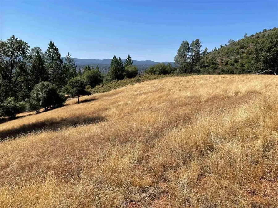 00000 Forrest Rd 1N19, Tuolumne, CA 95379 - Image #3