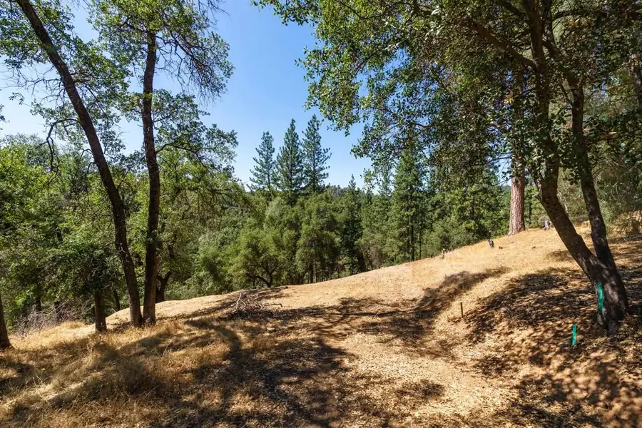 12891 Boitano Rd, Groveland, CA 95321 - #2