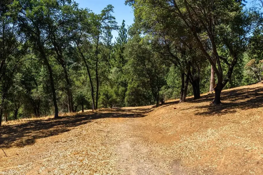 12891 Boitano Rd, Groveland, CA 95321 - #3