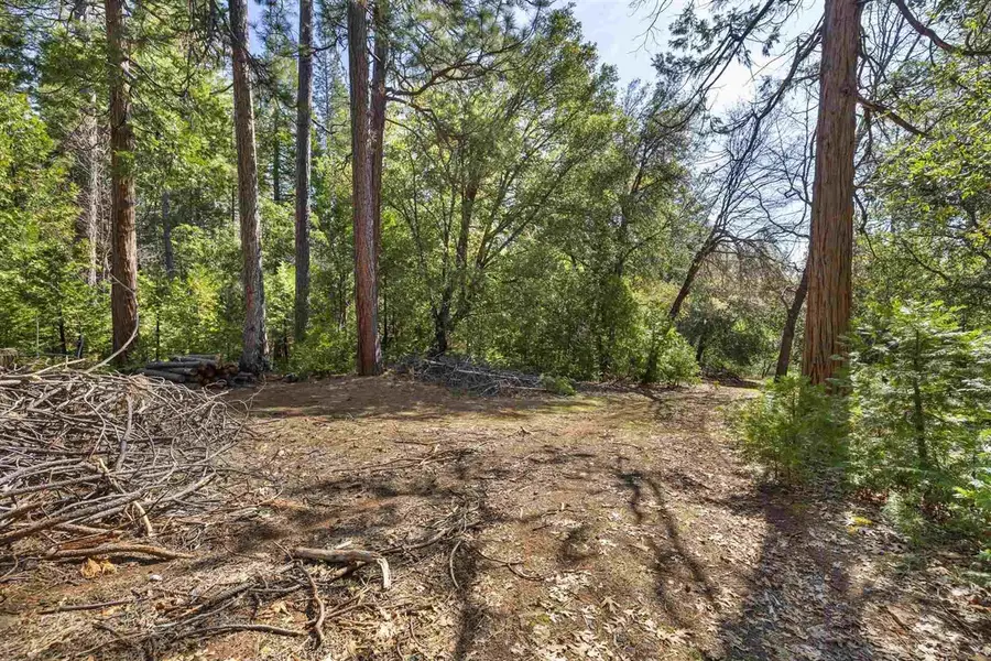 23282 Comstock Ranch, Sonora, CA 95370 - #3