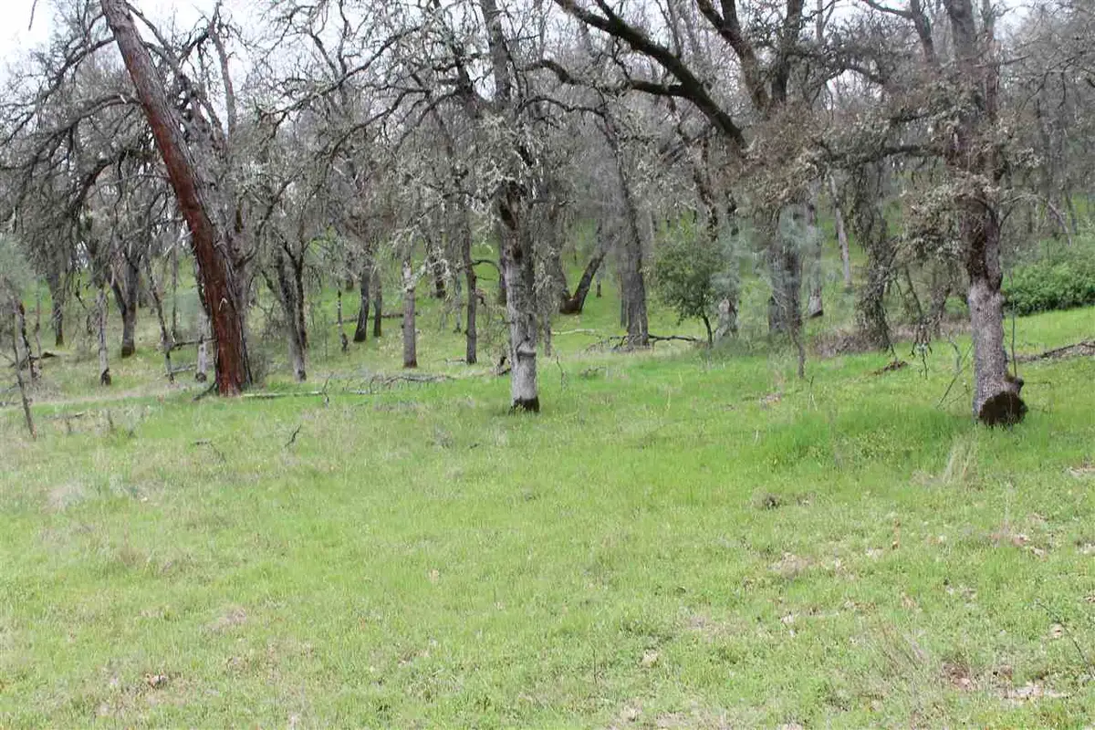 Lot52A Kebra Lane, Sonora, CA 95370 - #1
