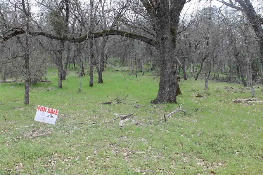 Lot52A Kebra Lane, Sonora, CA 95370 - #3