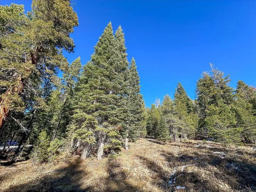 5N01 Eagle Meadow rd, Strawberry, CA 95375 - #2