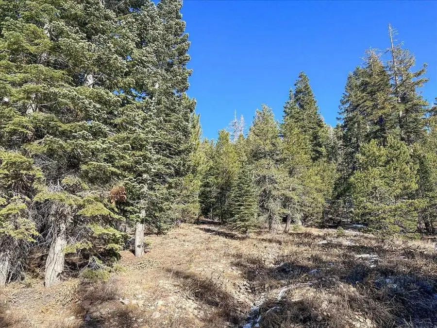 5N01 Eagle Meadow rd, Strawberry, CA 95375 - #3