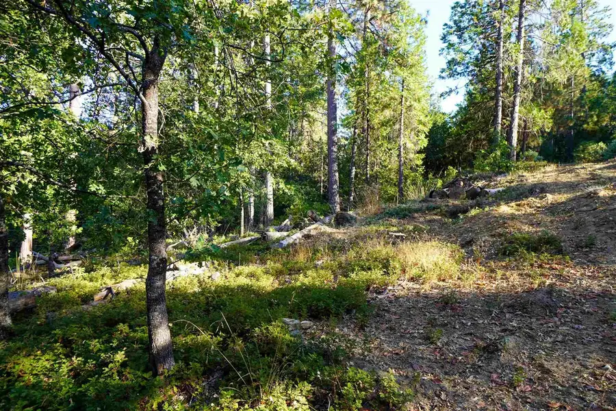 157 Canyon View, Hathaway Pines, CA 95233 - Image #2