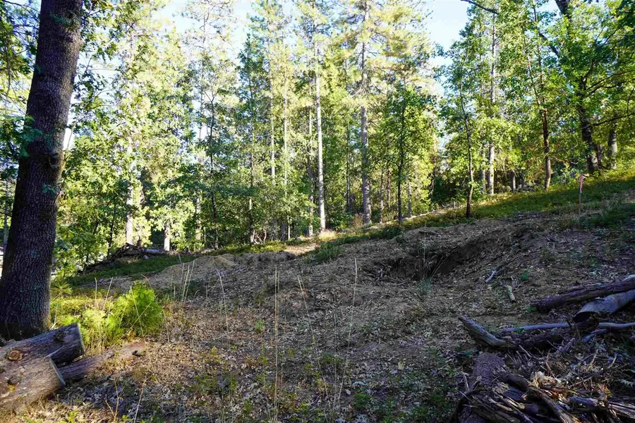 157 Canyon View, Hathaway Pines, CA 95233 - Image #3