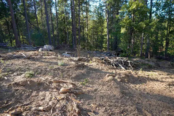 169 Canyon View, HATHAWAY PINES, CA 95233