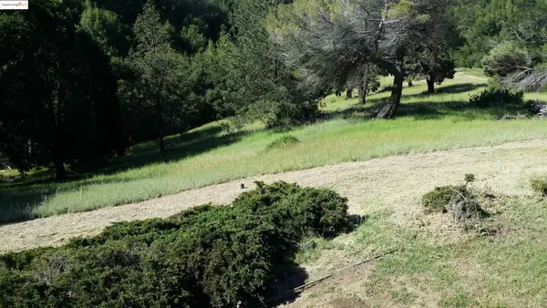 11320 Lochard Street, OAKLAND, CA 94605