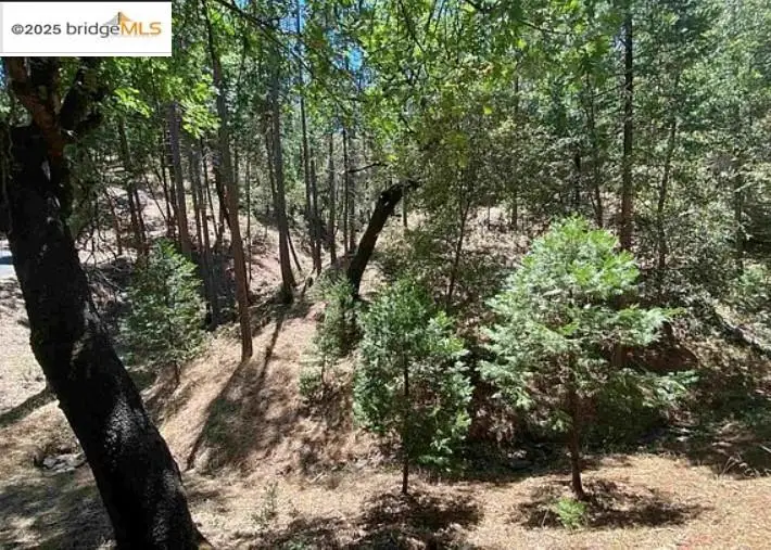 12000 Trapper, Groveland, CA 95321 - #1