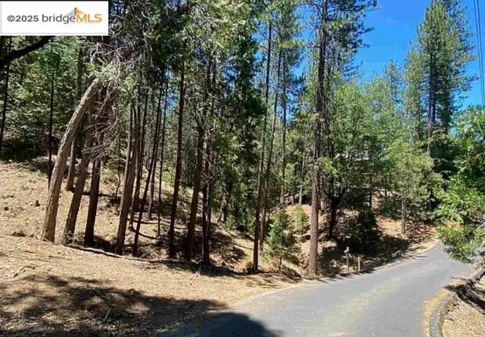 12000 Trapper, Groveland, CA 95321 - #2