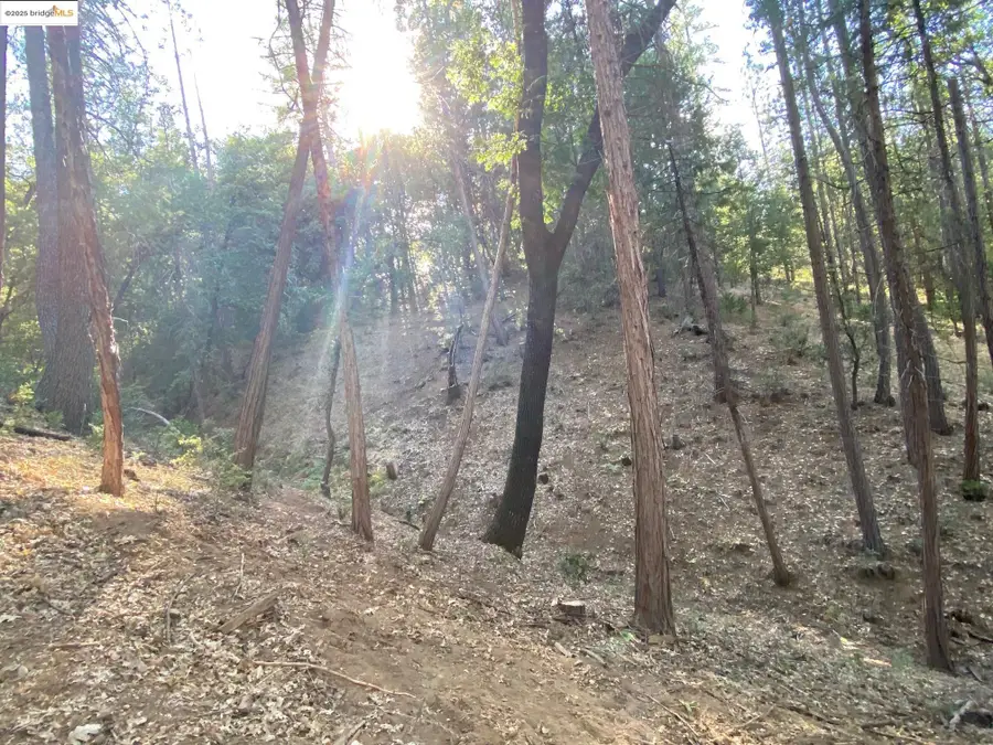 12000 Trapper, Groveland, CA 95321 - #3