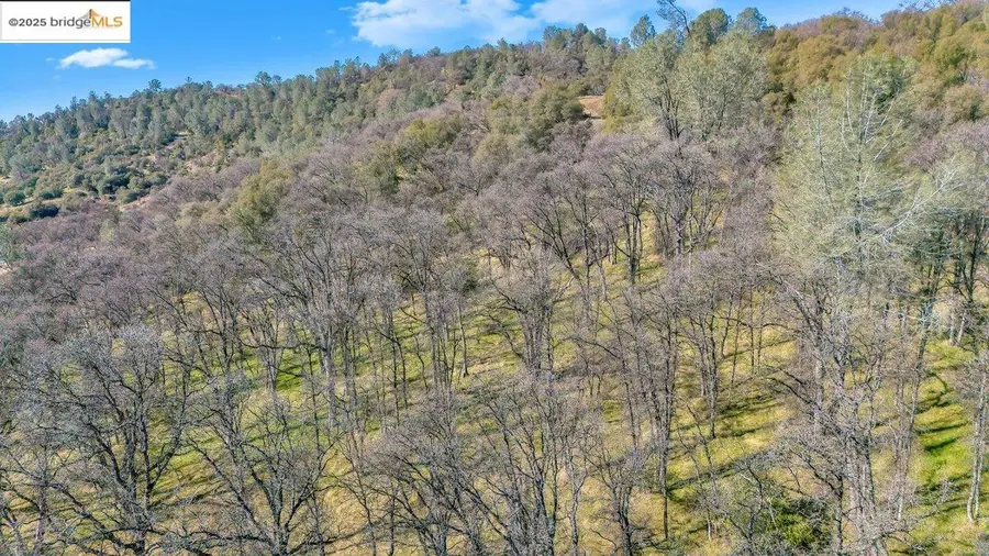 0000 Ivy Lane, Sonora, CA 95370 - Image #2