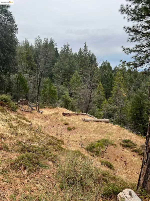 19262 Tanglewood Trl., TWAIN HARTE, CA 95383