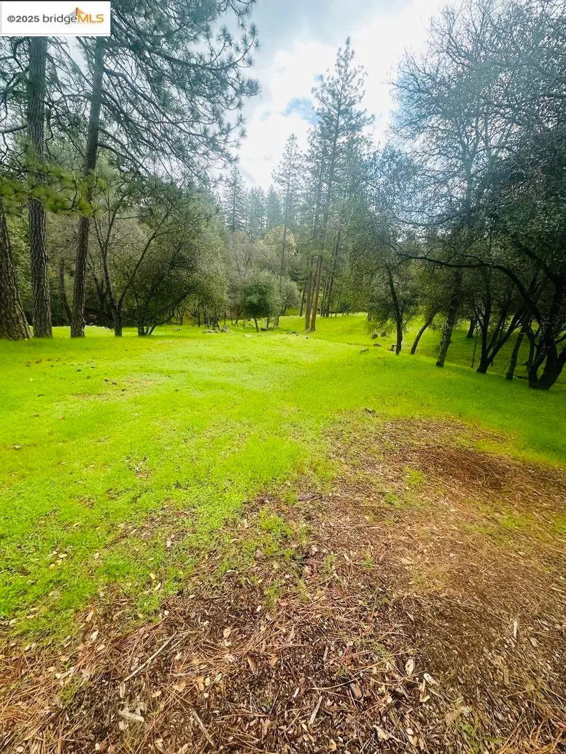 13095 Fox CT, Groveland, CA 95321 - #2