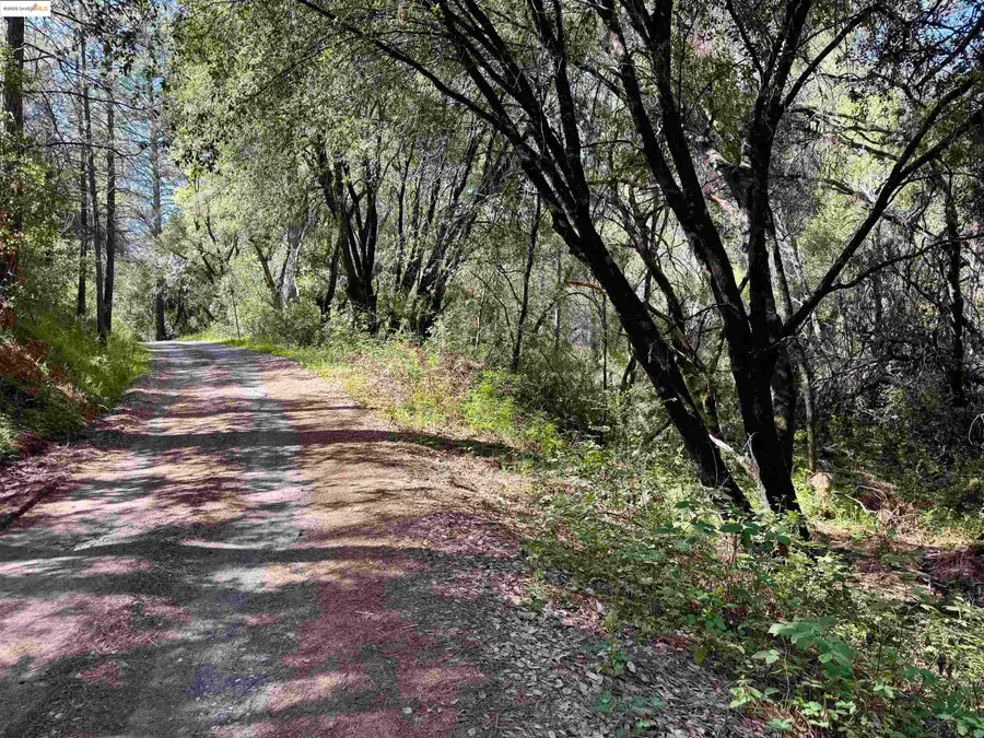 21893 Sawmill Flat RD, Sonora, CA 95370 - #3