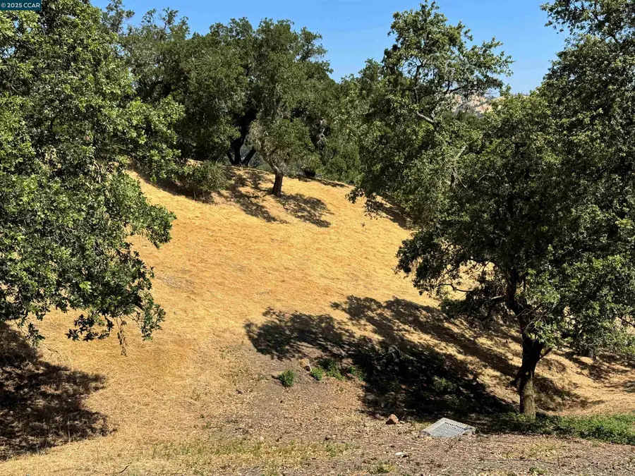 18 Diablo Oaks Way, Lafayette, CA 94549 - #2