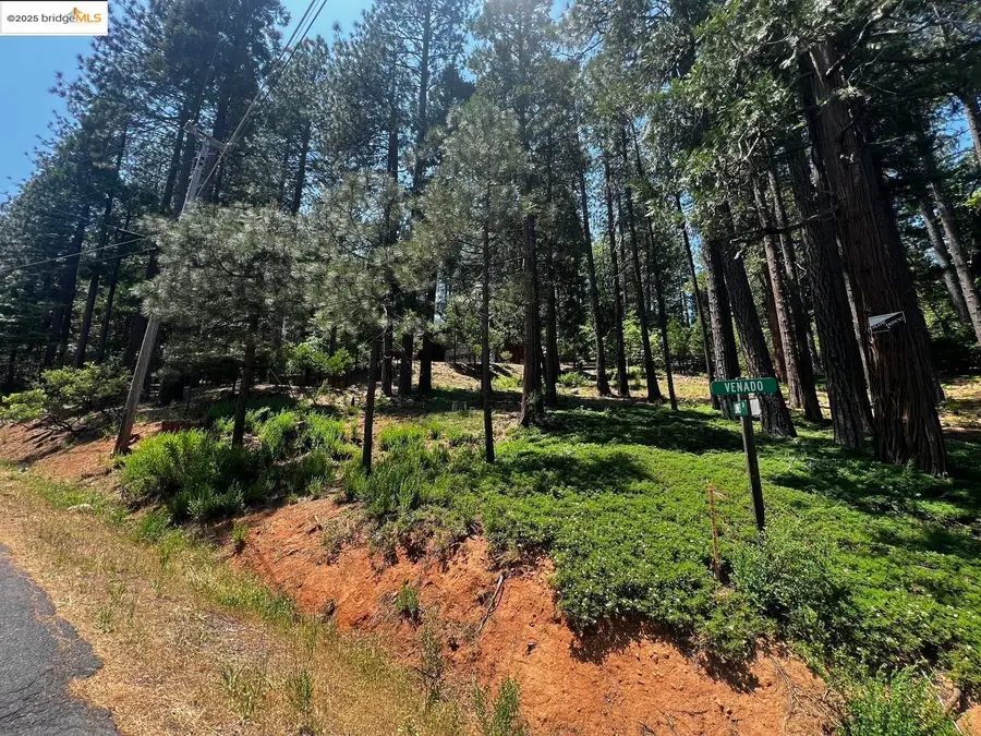 2904 Venado DR, Arnold, CA 95223 - #2