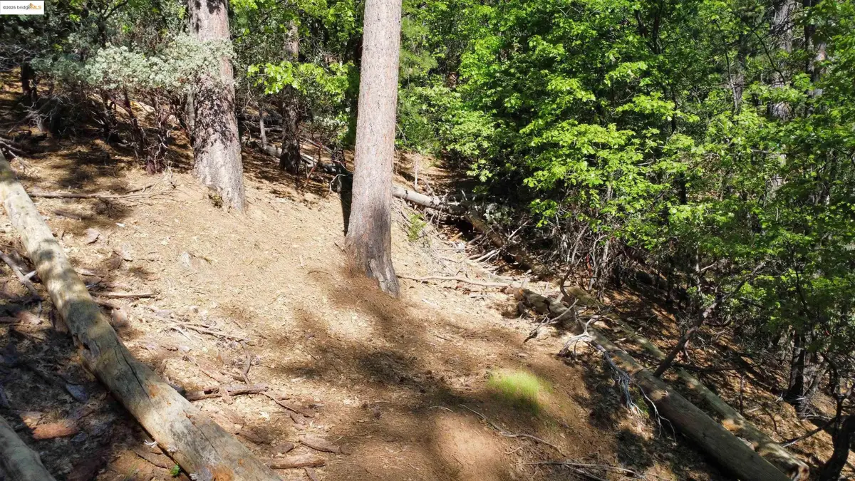 23804 Oxbow Lane, Sonora, CA 95370 - Image #1