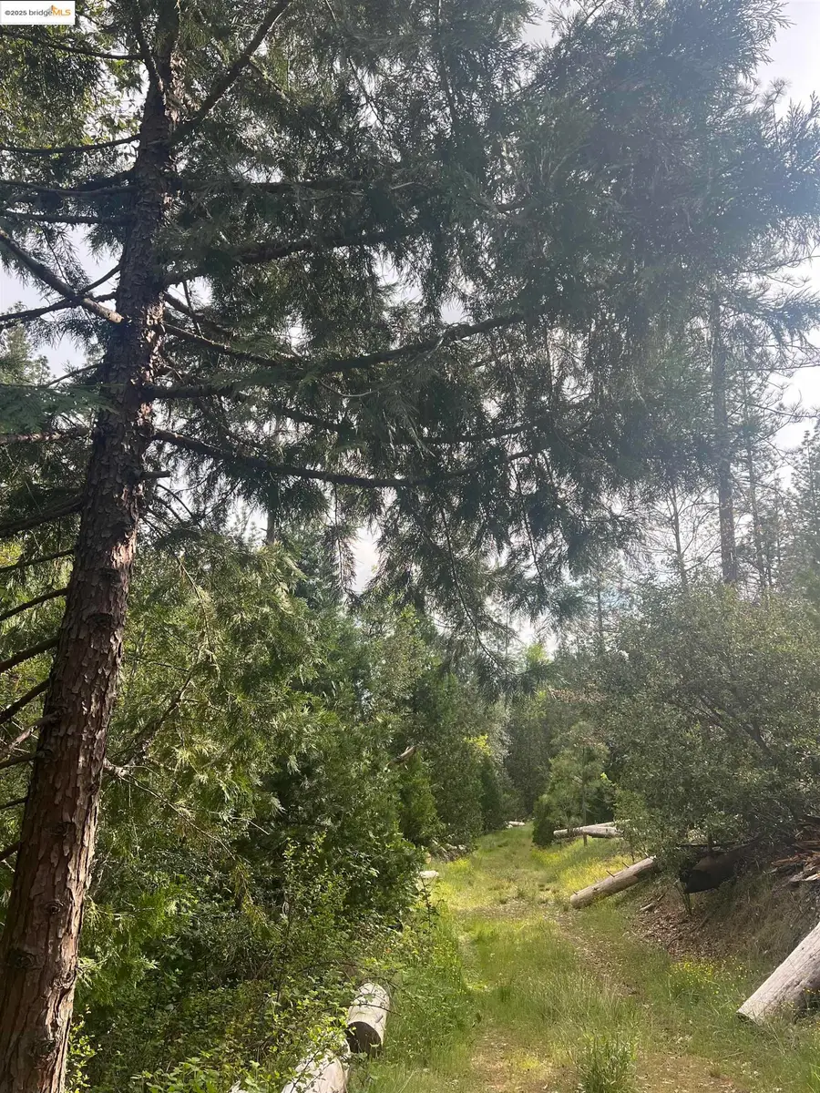 00 Italian Bar Rd., Twain Harte, CA 95383 - Image #2