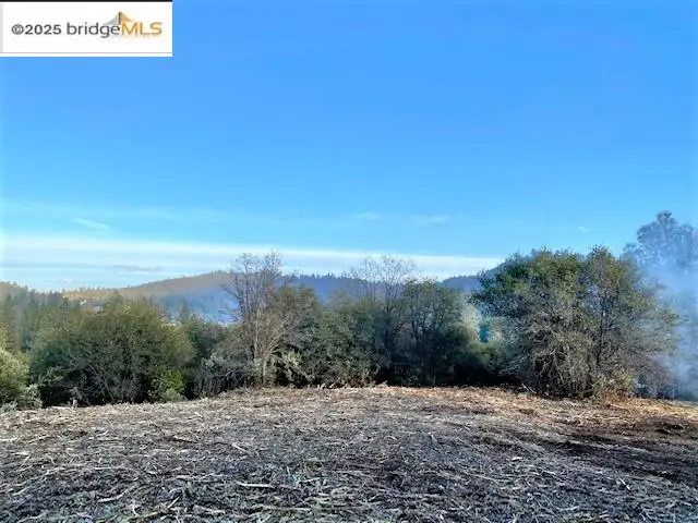 17290 Anderson St & Hwy 120, Groveland, CA 95305 - #2