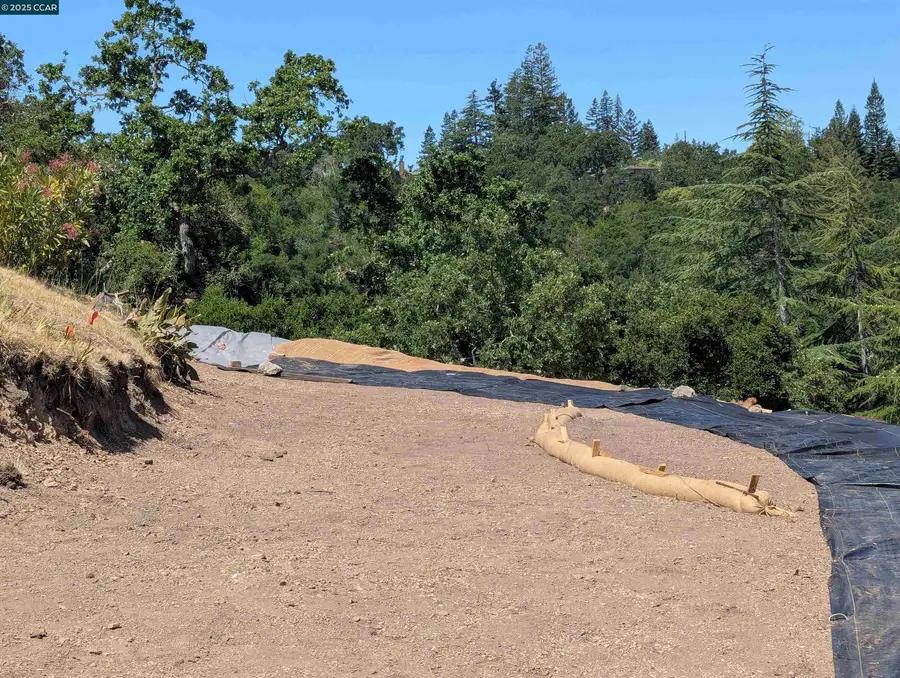 13 St James Ct, Orinda, CA 94563 - Image #3