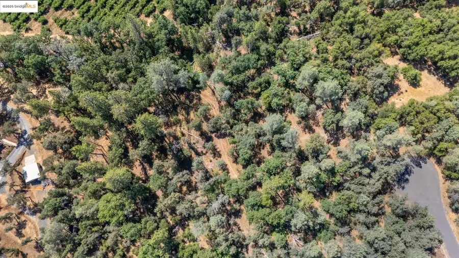 14464 Lorraine Lane, Sonora, CA 95370 - Image #3