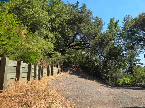 100 Black Log Rd, KENTFIELD, CA 94904