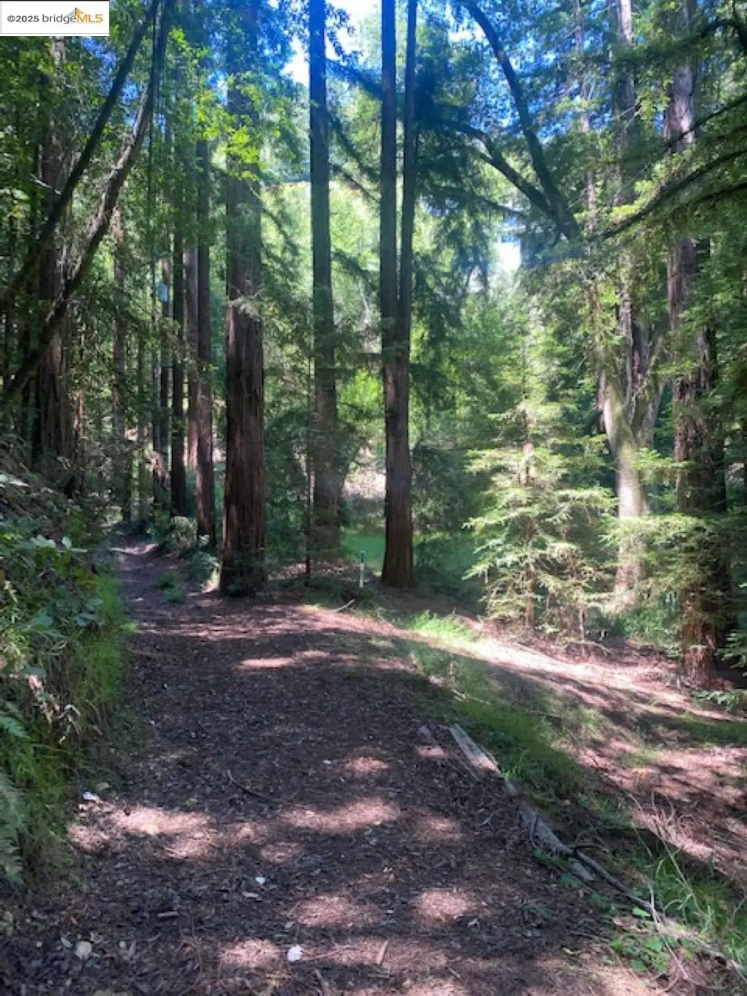 2 Wainwright Pl, Mill Valley, CA 94941 - Image #1