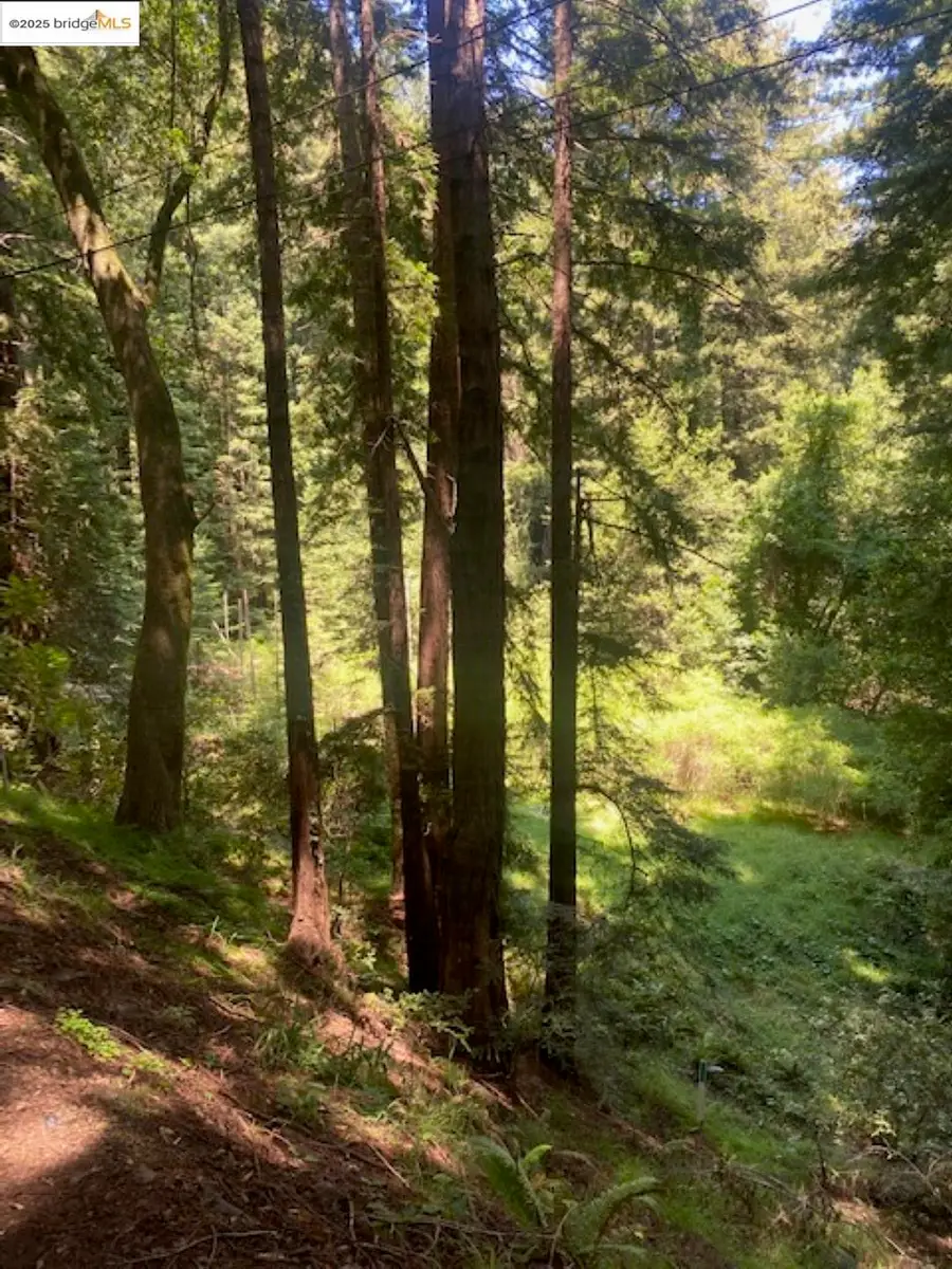 2 Wainwright Pl, Mill Valley, CA 94941 - Image #3