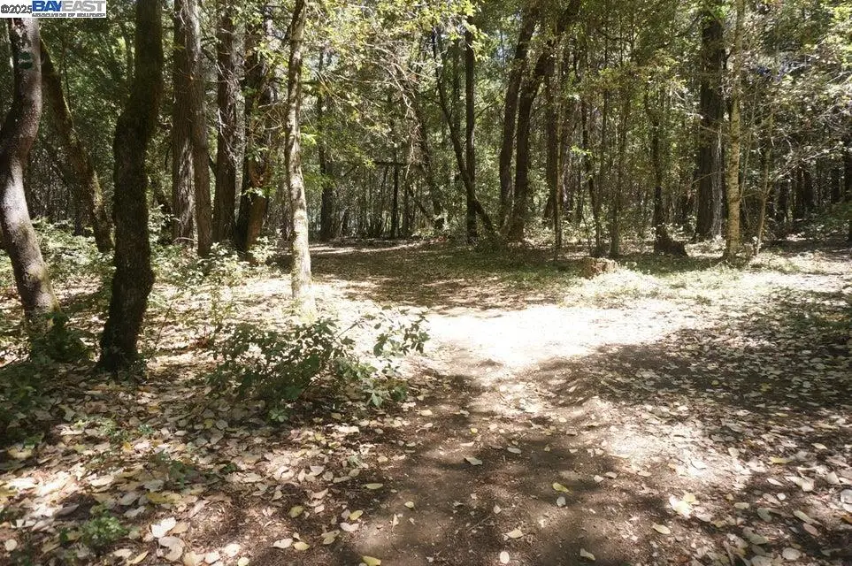 800 Suzy Q Rd, Trinity Village, CA 95527 - #1