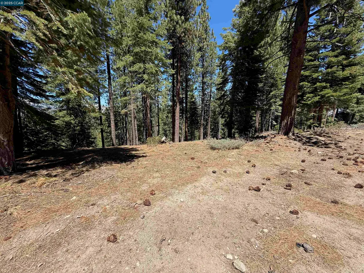 1578 Skyline Drive, South Lake Tahoe, CA 96150 - #1