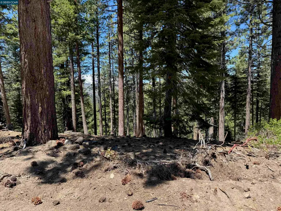 1578 Skyline Drive, South Lake Tahoe, CA 96150 - #2