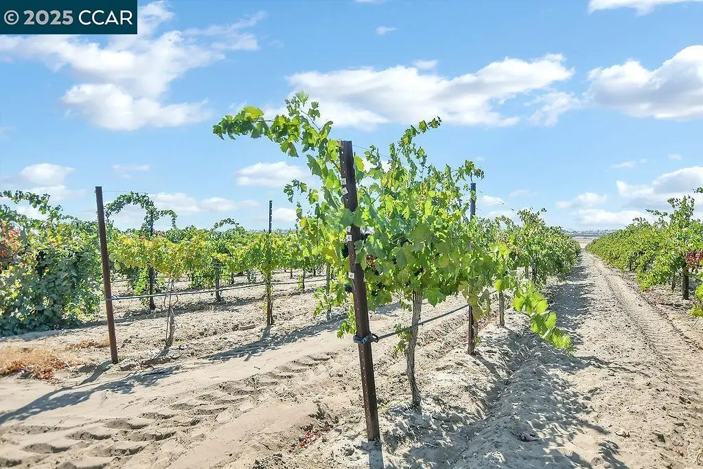 0 Empire Ave, Oakley, CA 94561 - #1