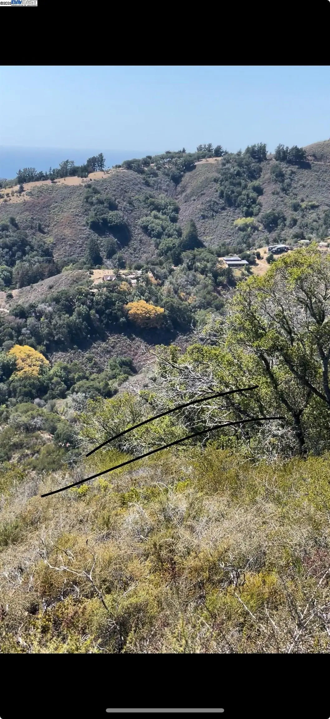 46190 Pfeiffer Ridge Rd, Big Sur, CA 93920 - #1