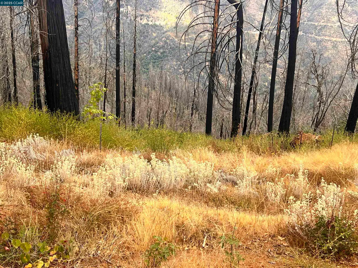 4025 Volcanoville Rd, Georgetown, CA 95634 - #1