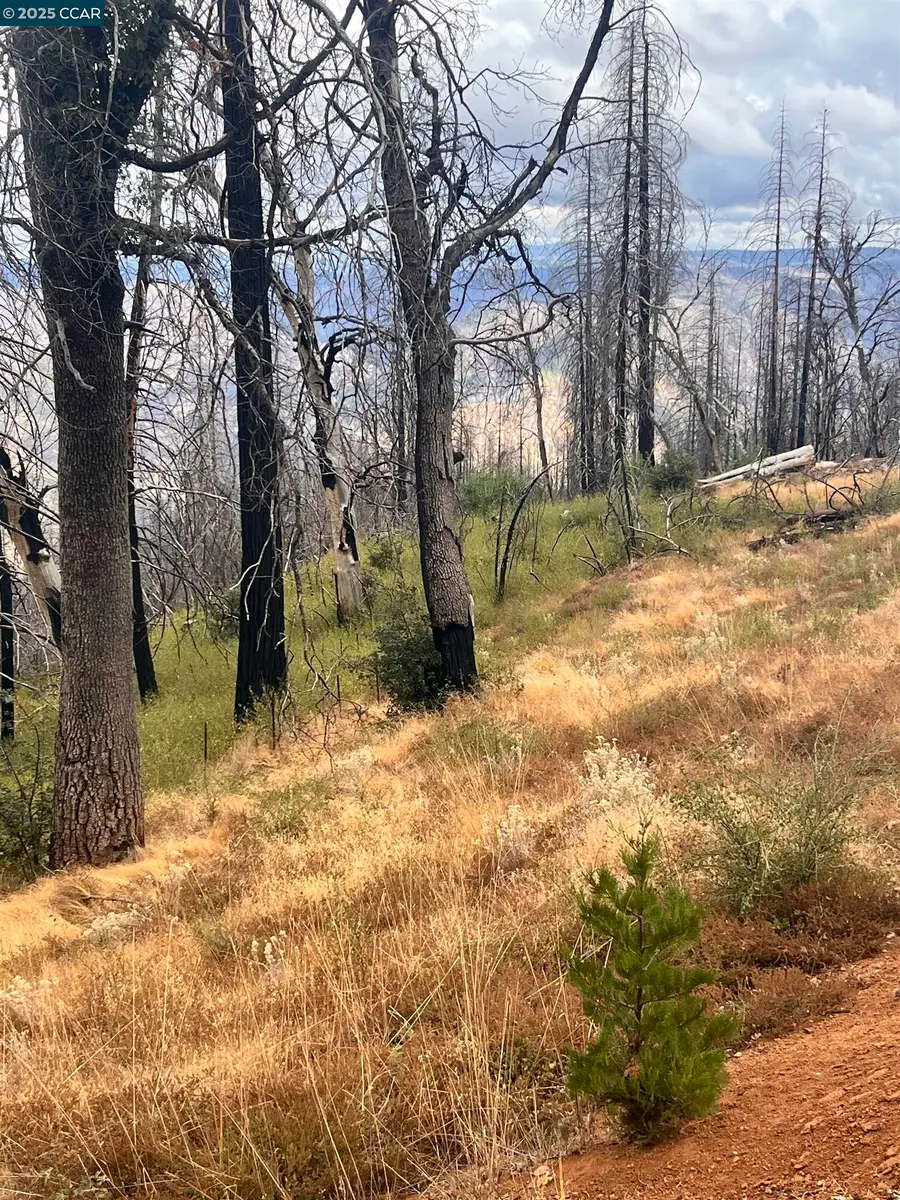 4025 Volcanoville Rd, Georgetown, CA 95634 - #2