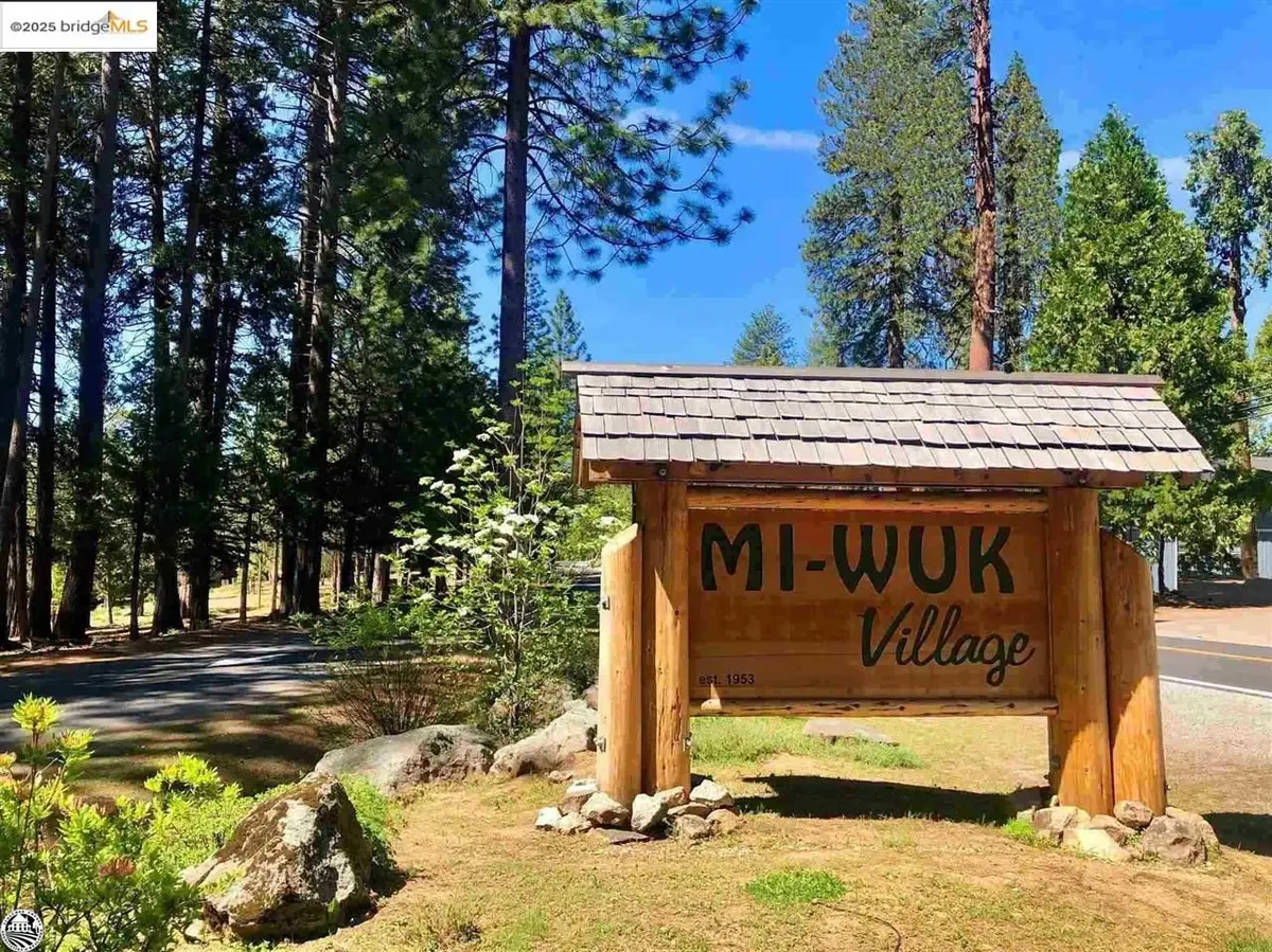 000 Olo Win Trail, Mi Wuk Village, CA 95346 - #1