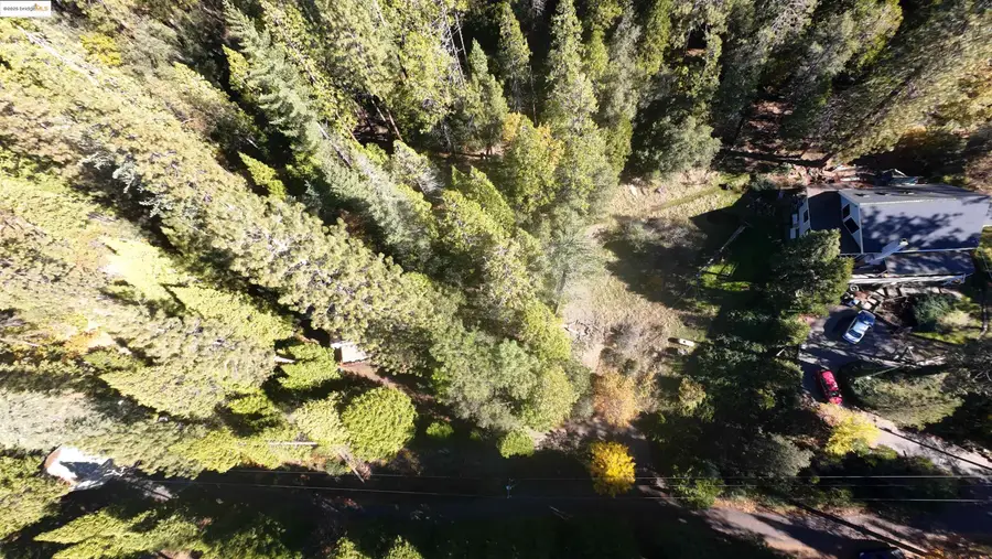 22443 Broken Bough Ln, Twain Harte, CA 95383 - #2
