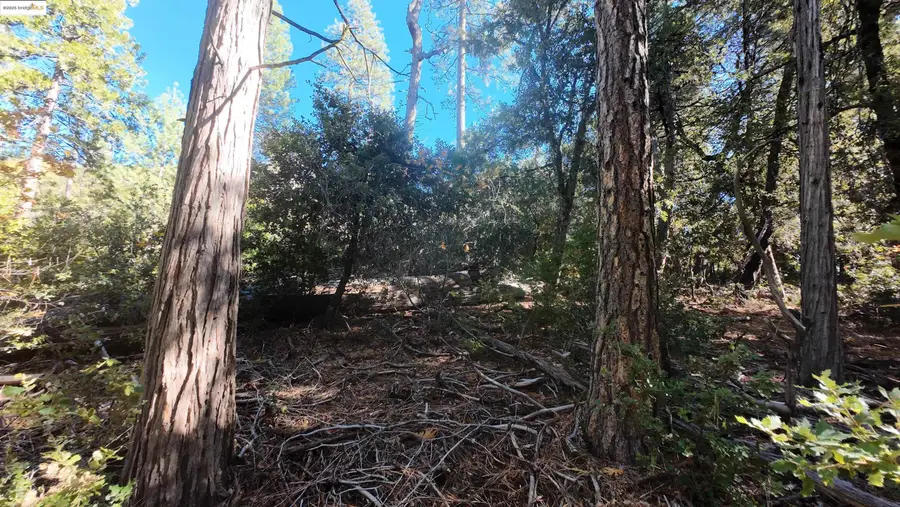 22443 Broken Bough Ln, Twain Harte, CA 95383 - #3
